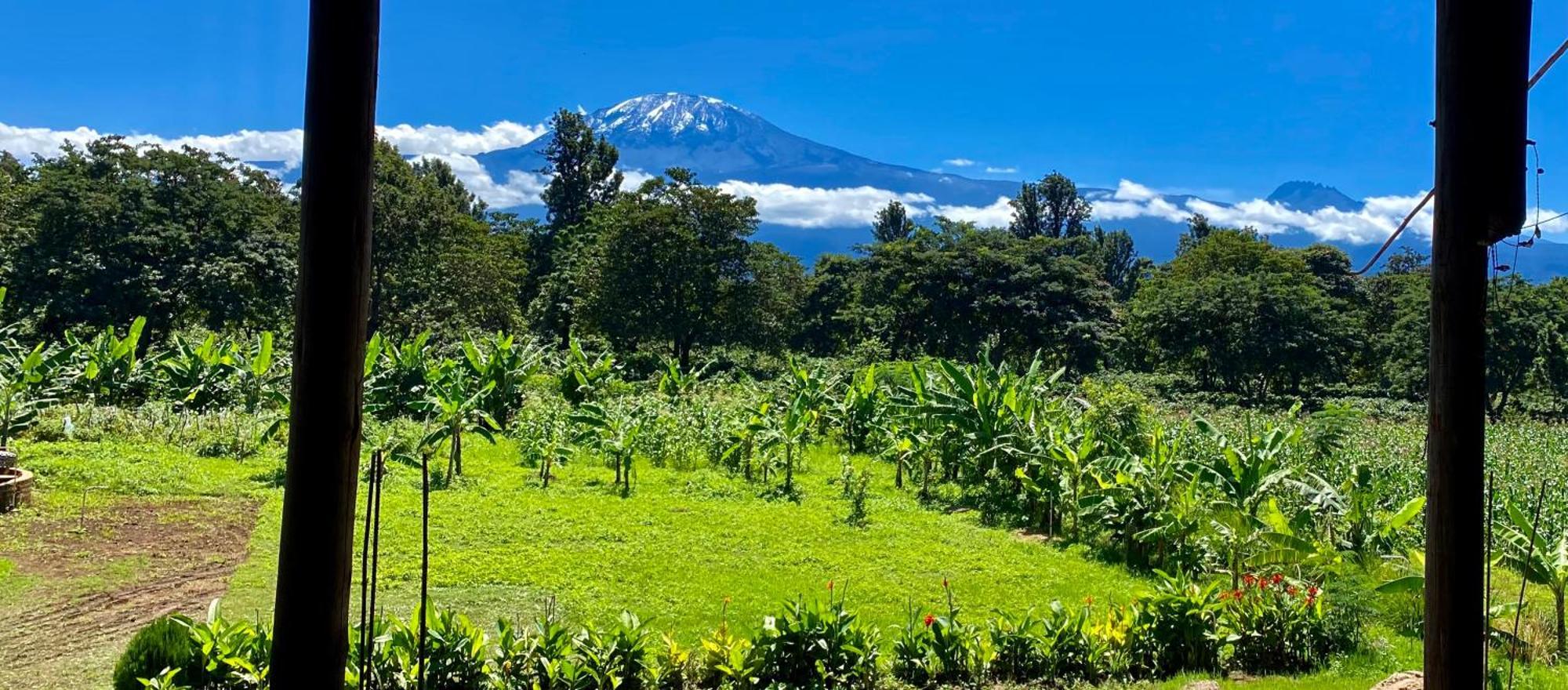 Mount Kilimanjaro 360 View Cottage Uru Exterior foto